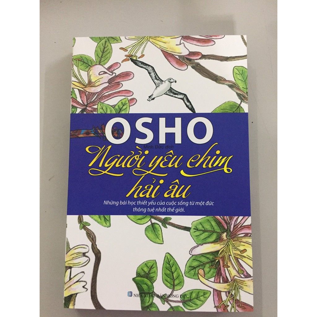 Người Yêu Chim Hải Âu