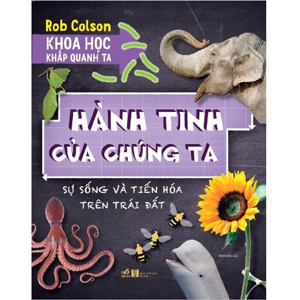 Khoa Học Khắp Quanh Ta - Hành Tinh Của Chúng Ta - Rob Colson - Bìa Mềm