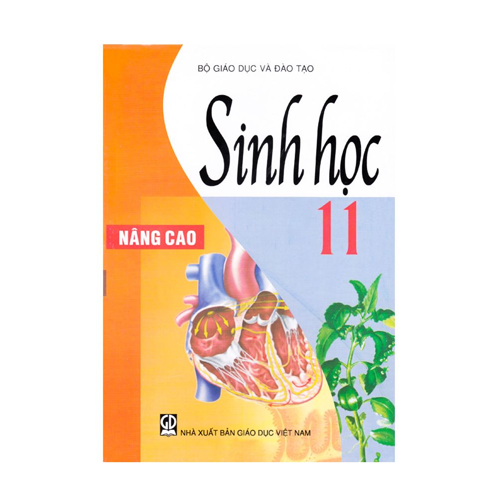 Sinh Học Nâng Cao Lớp 11 (Tái Bản 2020)