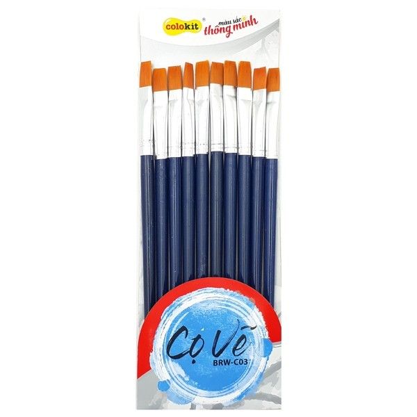 Cọ vẽ túi 10 cây BRW-C03