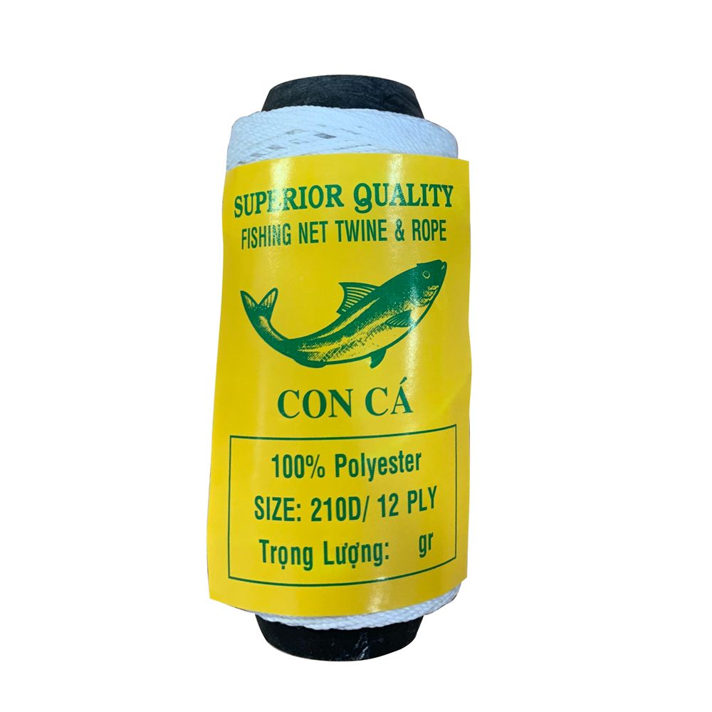 Chỉ Thả Diều - Con Cá