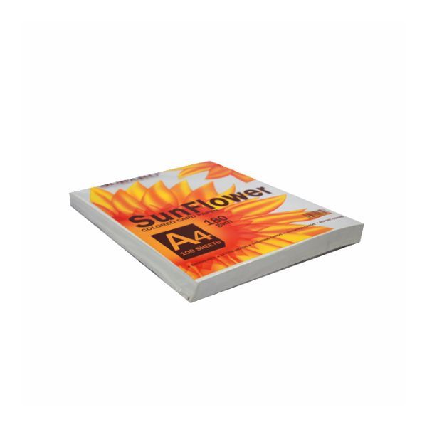 Giấy BIA SUNFLOWER A4 180(100 tờ)(T,H,V,XD,XL)