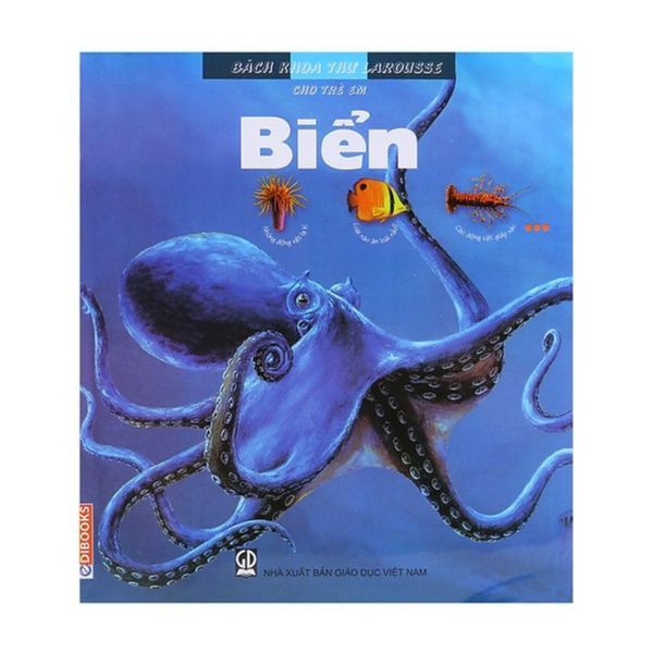 Bách Khoa Thư Larousse Cho Trẻ Em - Biển