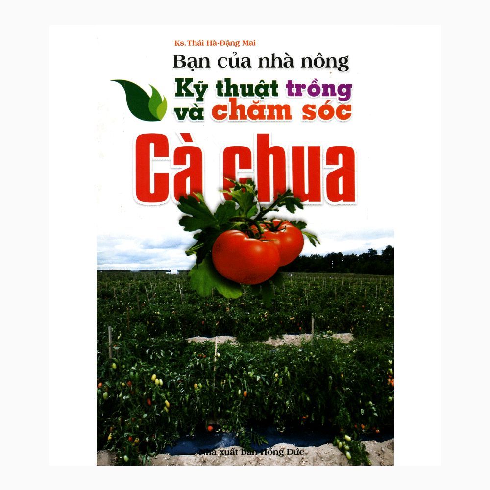 Bạn Của Nhà Nông - Kỹ Thuật Trồng Và Chăm Sóc Cà Chua