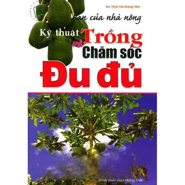  Bạn Của Nhà Nông - Kỹ Thuật Trồng Và Chăm Sóc Đu Đủ 