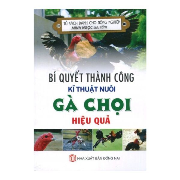 BQ Thành công KT nuôi Gà chọi hiệu quả