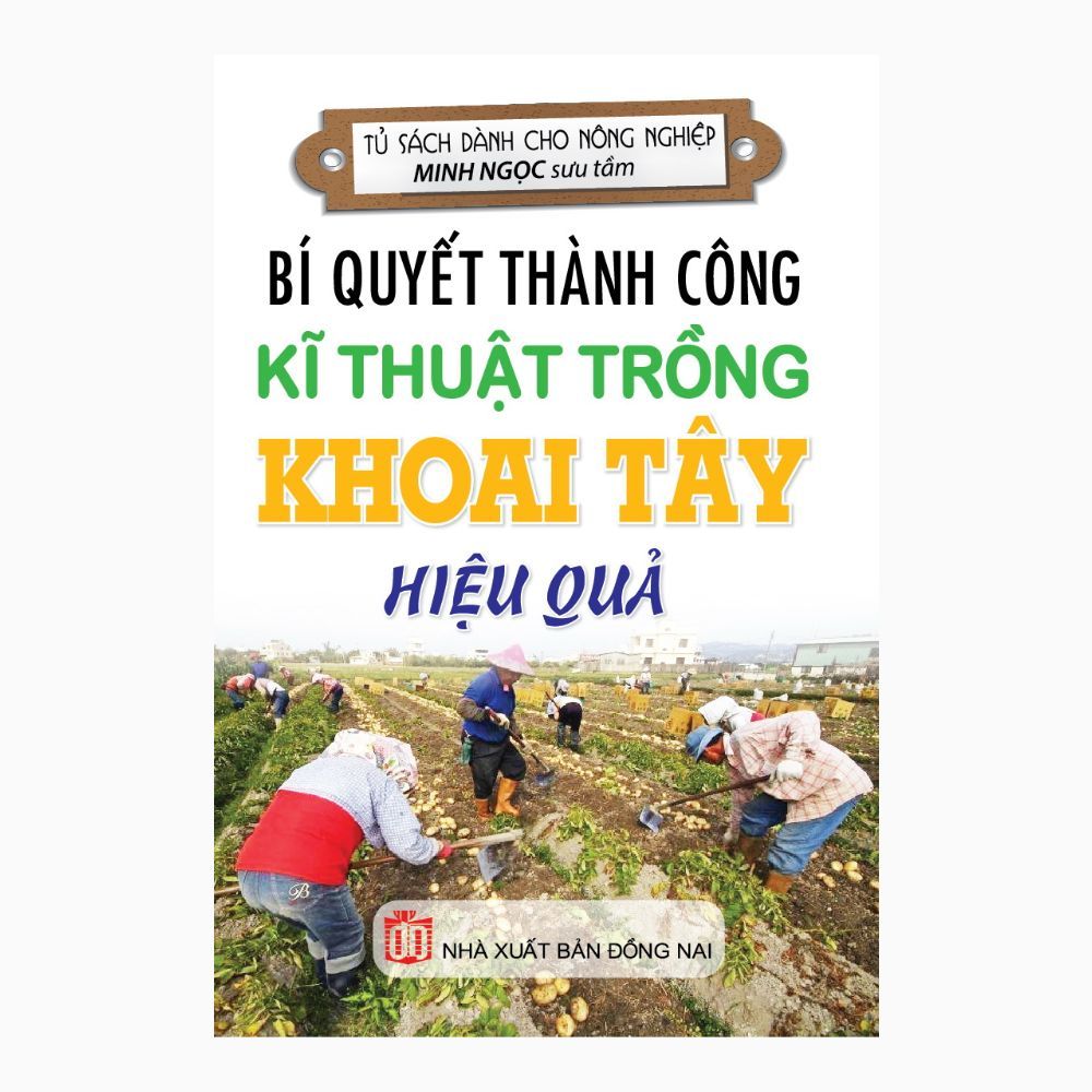 Bí Quyết Thành Công - Kỹ Thuật Trồng Khoai Tây Hiệu Quả