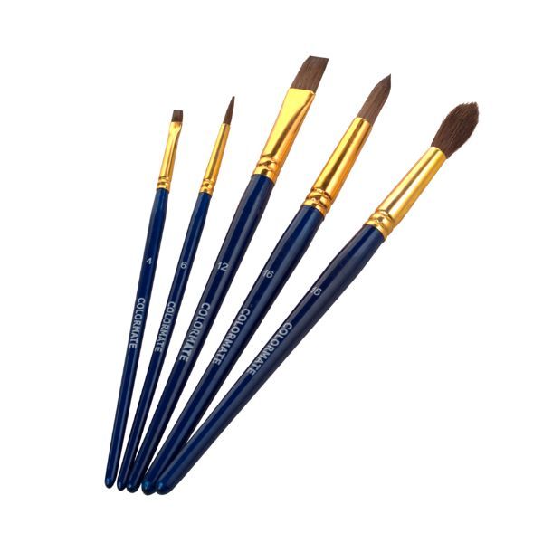 Bộ 5 Cây Cọ Vẽ Colormate CM-05BRS-W