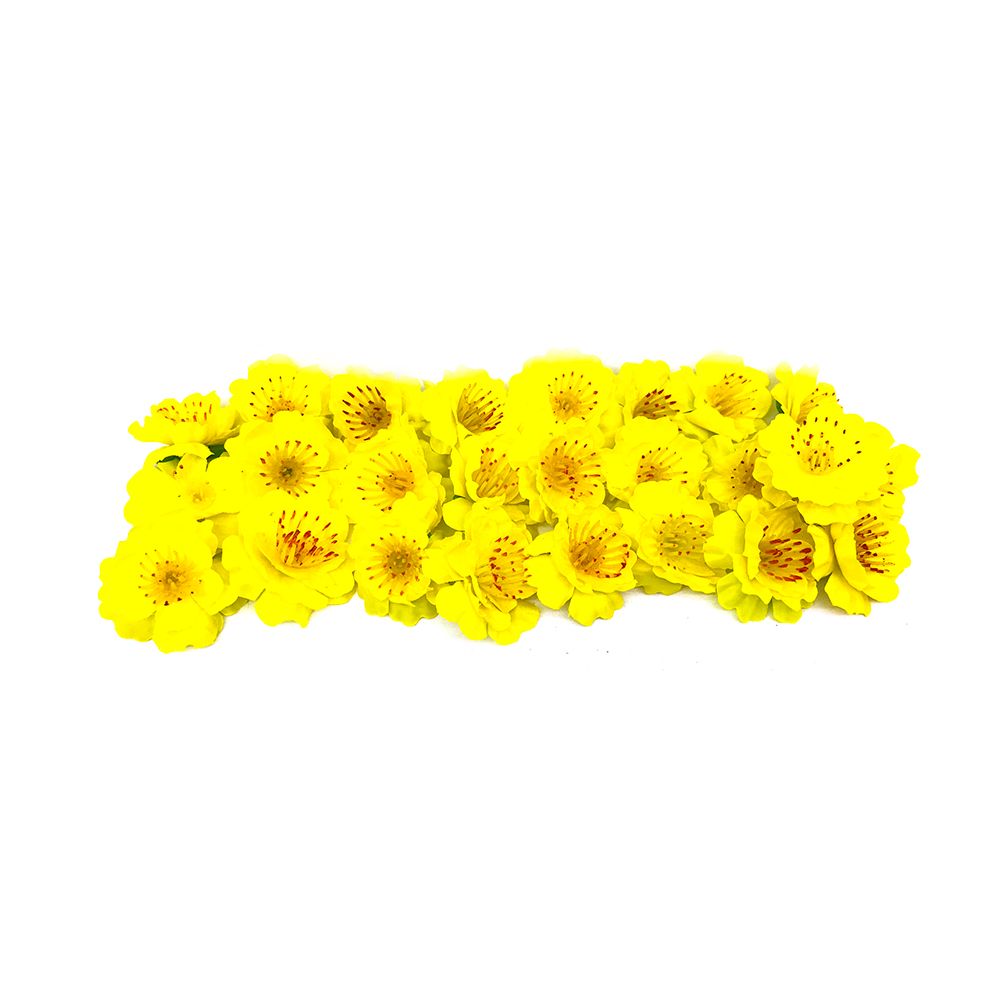 Bông Mai - Đào Vải