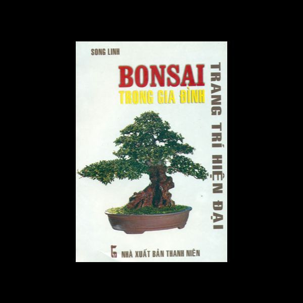 Bonsai Trong Gia Đình - Trang Trí Hiện Đại
