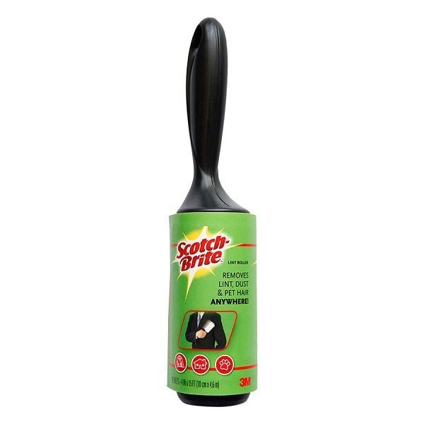 Cây Lăn Bụi Scotch Brite