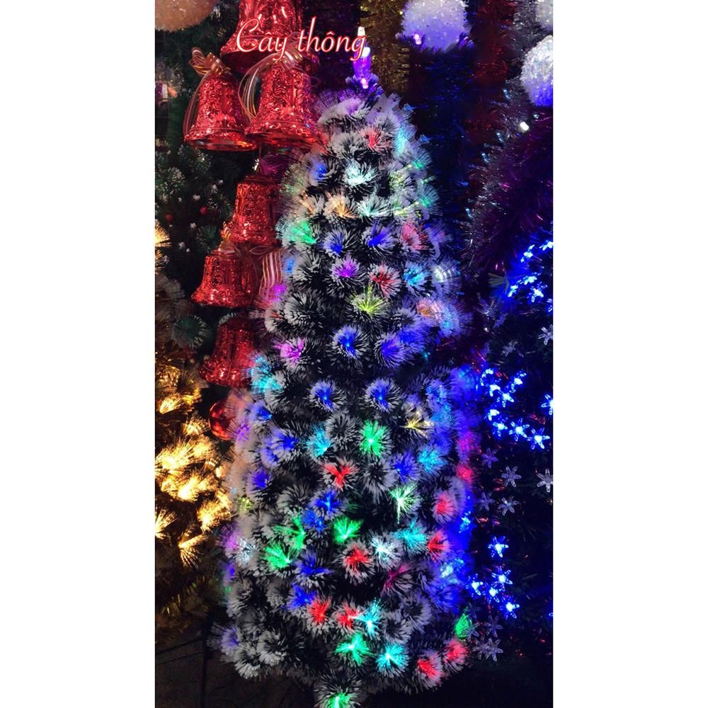 Cây Thông Noel (Có Sẵn Đèn) 1m2