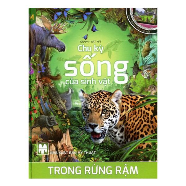 Chu Kỳ Sống Của Sinh Vật Trong Rừng Rậm