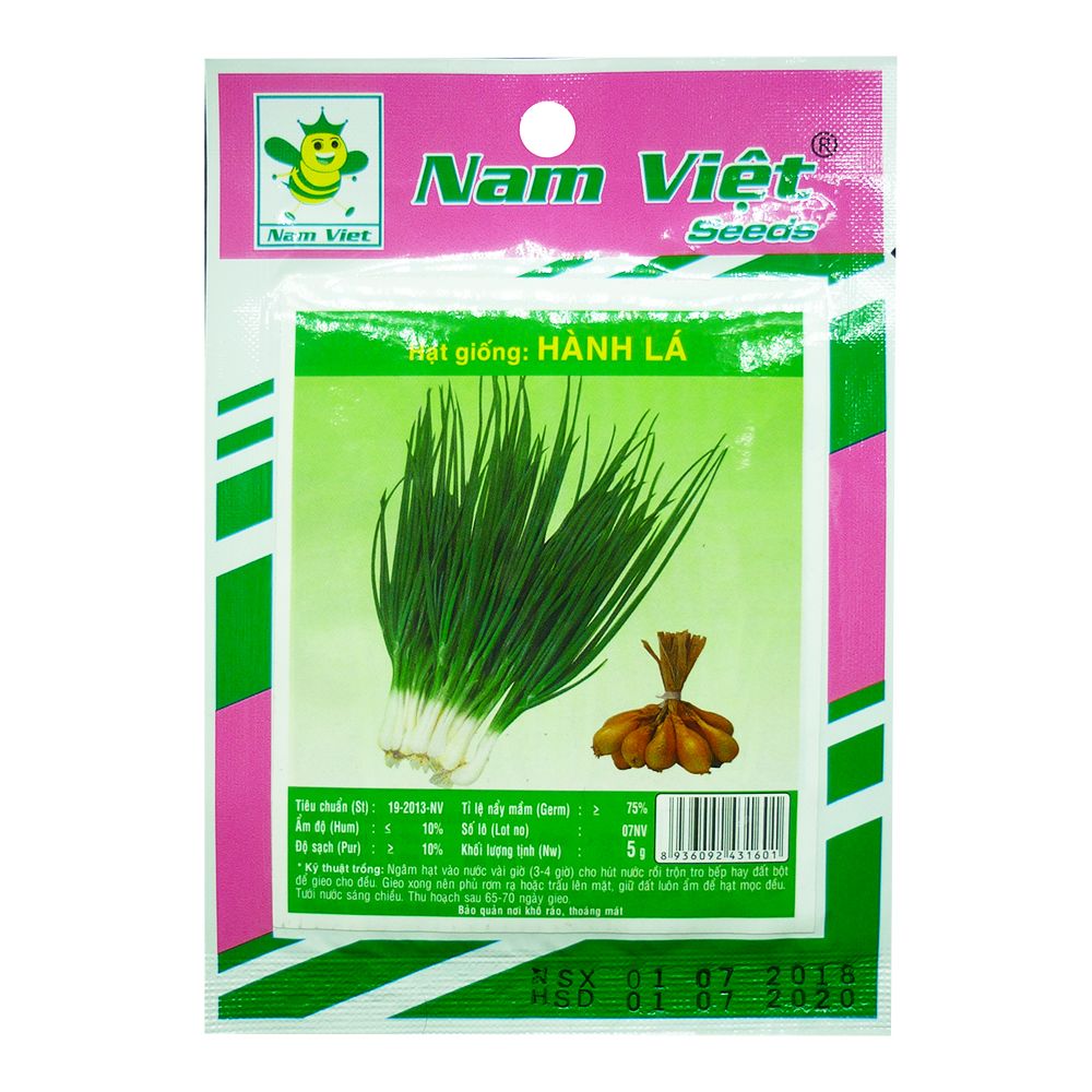 Hạt Giống Hành Lá Nam Việt
