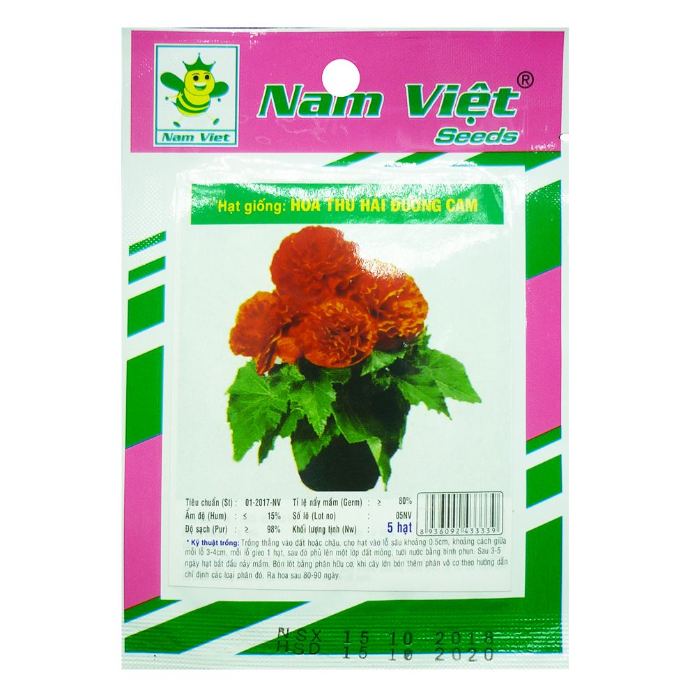 Hạt Giống: Hoa Thu Hải Đường Cam Nam Việt