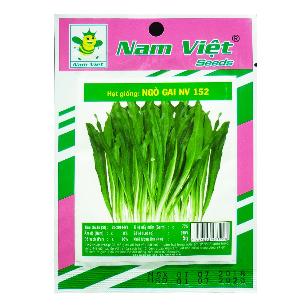  Hạt Giống Ngò Gai NV 152 