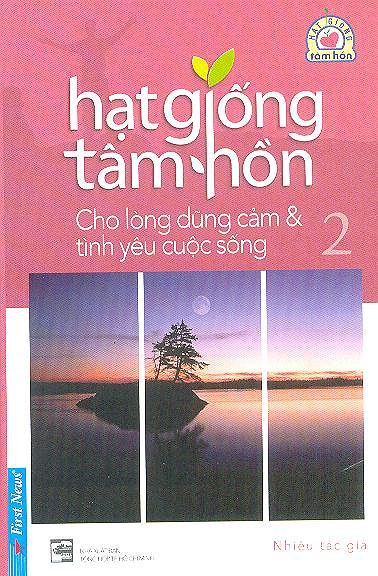 Hạt Giống Tâm Hồn 2 (Khổ Nhỏ)