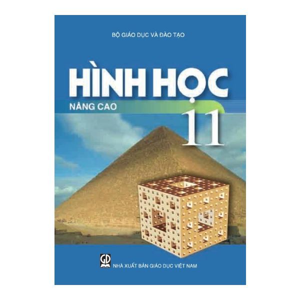 Hình Học Lớp 11 Nâng Cao (Tái Bản 2019)