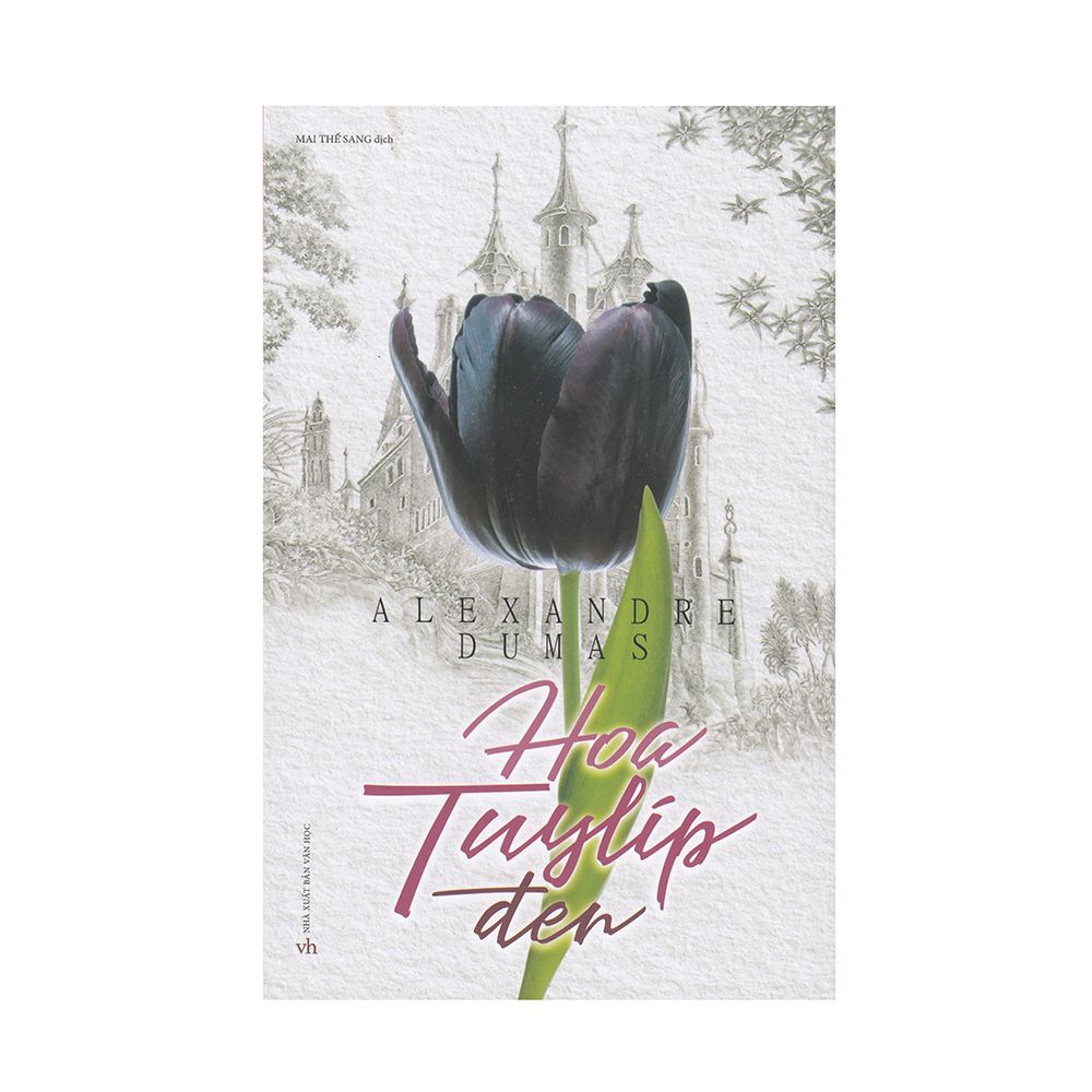 Hoa Tuylip Đen