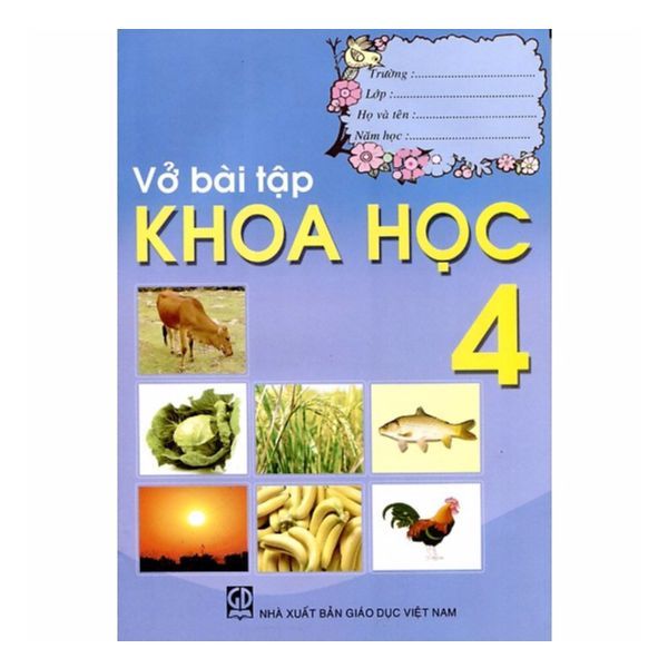 Vở Bài Tập Khoa Học Lớp 4 (Tái Bản 2019)