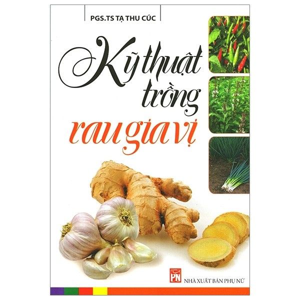 Kỹ Thuật Trồng Rau Gia Vị