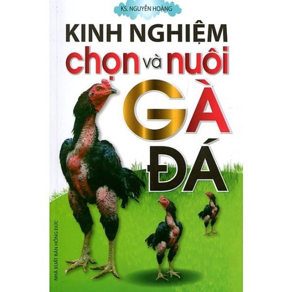Kinh Nghiệm Chọn Và Nuôi Gà Đá