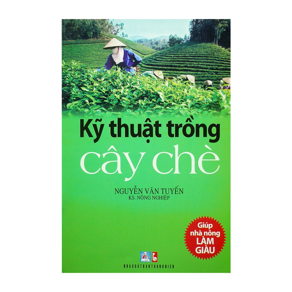 Kỹ Thuật Trồng Cây Chè
