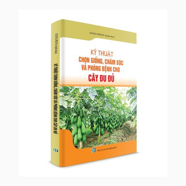 Kỹ Thuật Trồng, Chăm Sóc Và Phòng Trừ Bệnh Cho Cây Đu Đủ