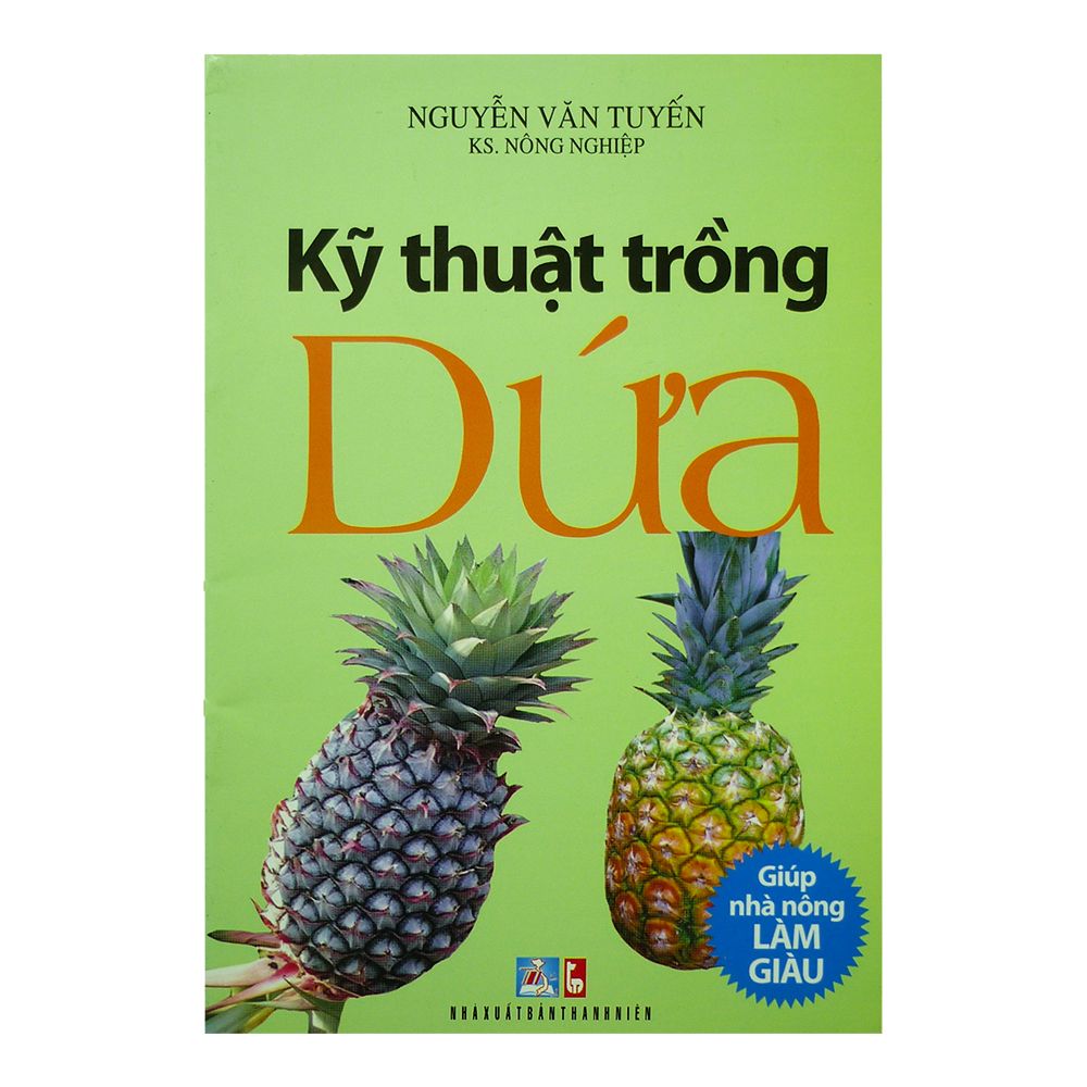 Kỹ Thuật Trồng Dứa