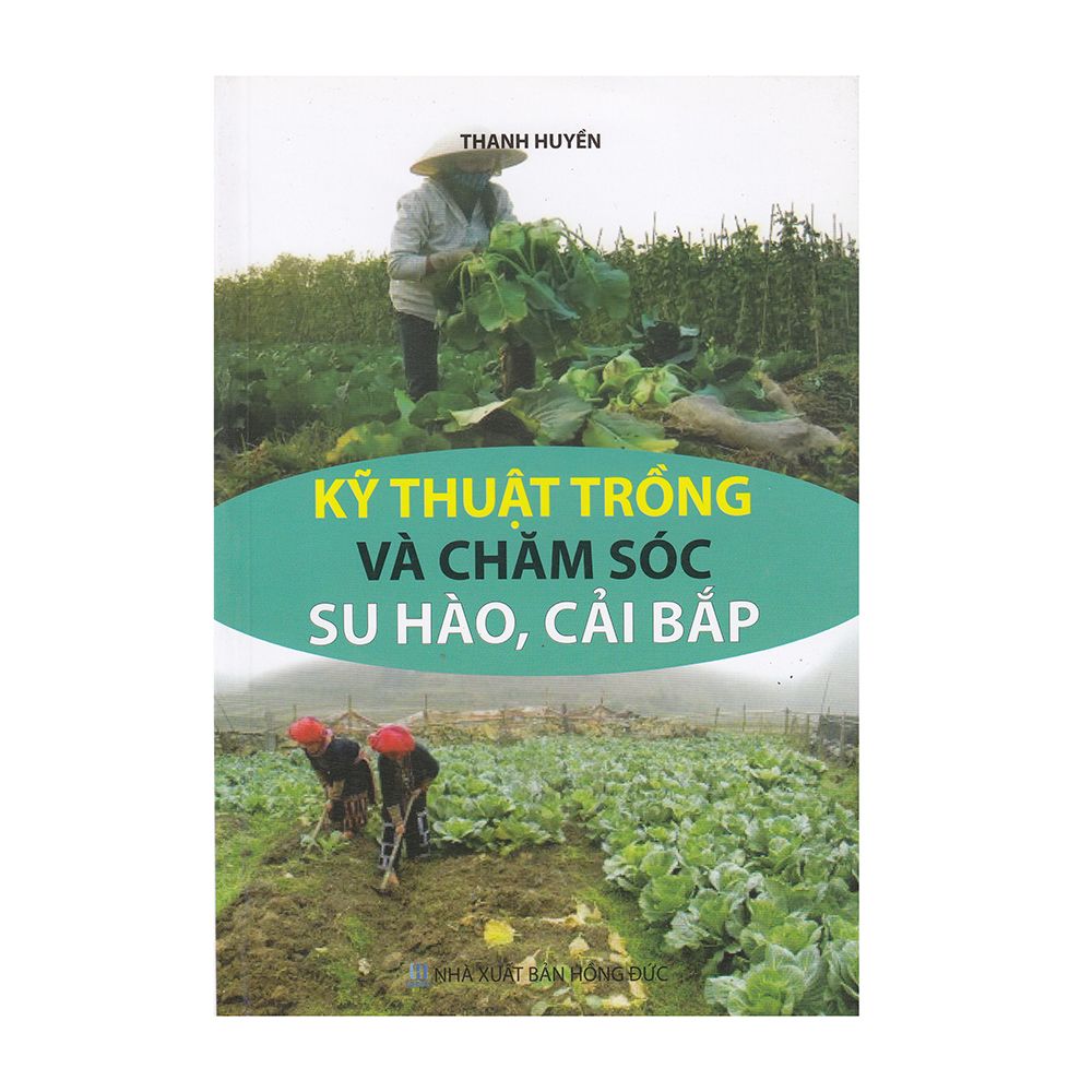 Kỹ Thuật Trồng Và Chăm Sóc Su Hào, Cải Bắp