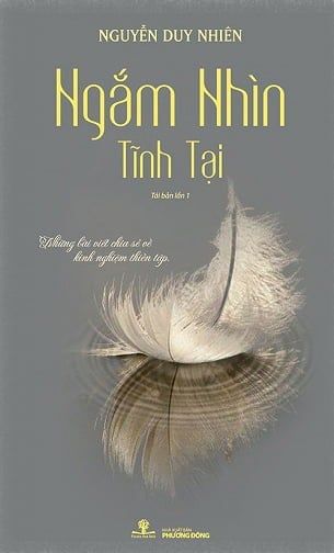 Ngắm Nhìn Tĩnh Tại