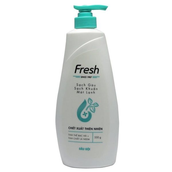 Dầu Gội Fresh Since 1987 Sạch Gàu - Sạch Khuẩn - Mát Lạnh Chiết Xuất Tự Nhiên Tinh Thể Bạc Hà Tinh Chất Lá Neen 550g