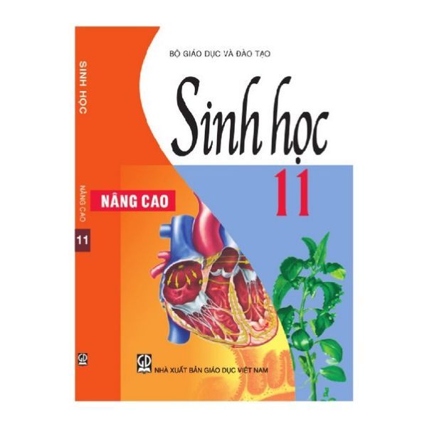 Sinh Học Lớp 11 (Nâng Cao)