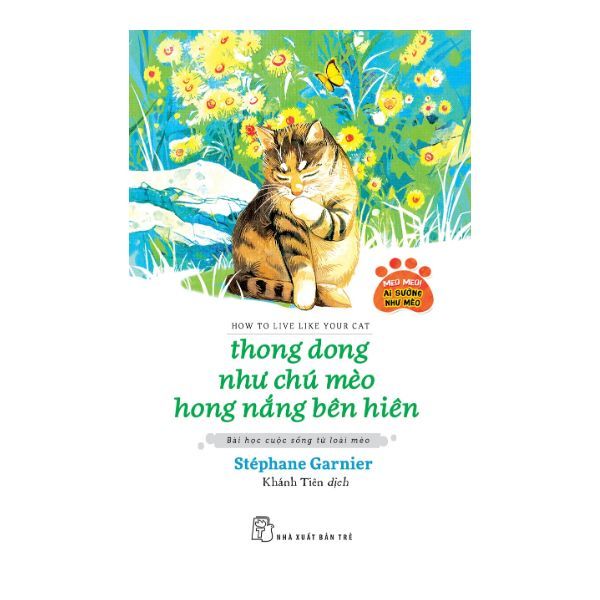 Thong Dong Như Chú Mèo Hong Nắng Bên Hiên