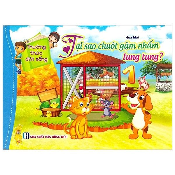 Thường Thức Đời Sống - Tại Sao Chuột Gặm Nhắm Lung Tung?