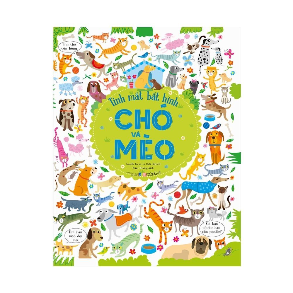 Tinh Mắt Bắt Hình – Chó Và Mèo