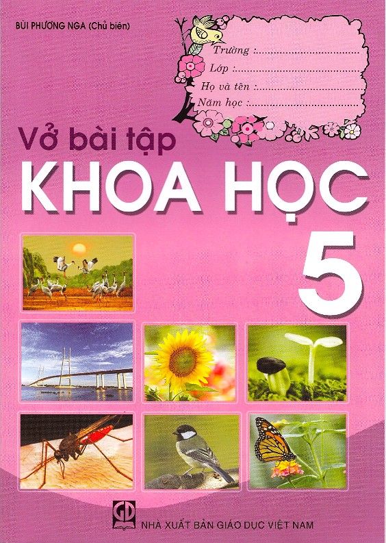 Vở Bài Tập Khoa Học - Lớp 5 (Tái Bản 2020)