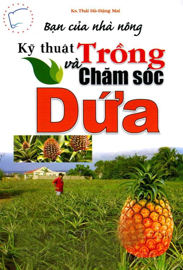  Bạn của Nhà nông - Kỹ Thuật Trồng và Chăm Sóc Dứa 