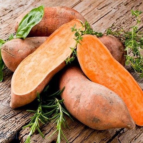  Khoai lang mật (Dalat Sweet Potato) 