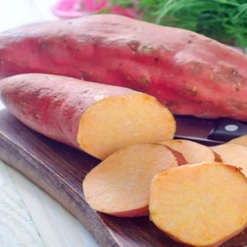  Khoai lang Nhật (Japanese Sweet Potato) 