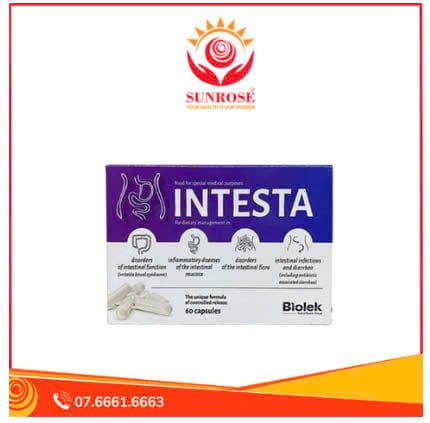 INTESTA chữa viêm đại tràng và hội chứng ruột kích thích (IBS) nhập khẩu Châu Âu 1 vĩ 15 viên