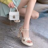  Giày Sandal Cao Gót 9 Phân 833-06 