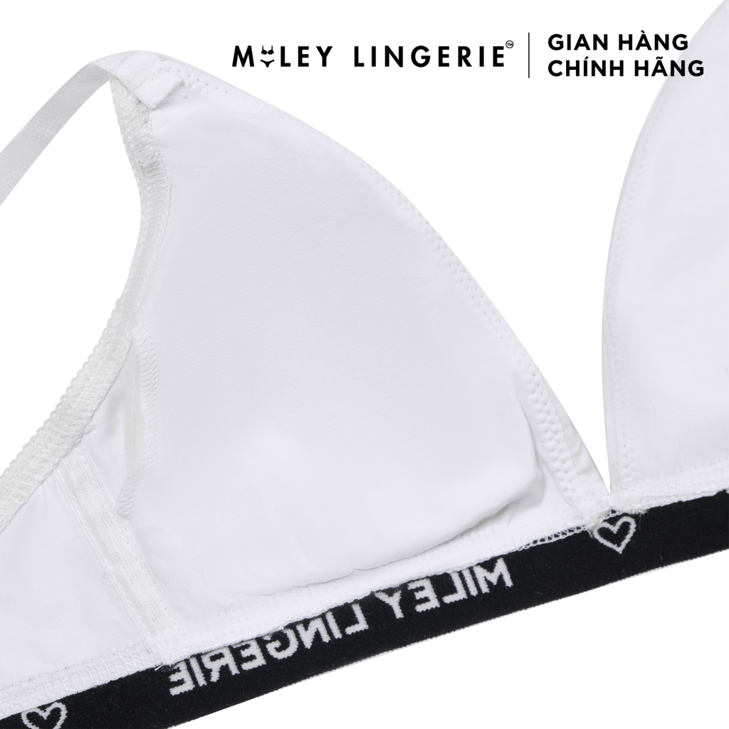 Combo 3 Áo Ngực Cotton Không Gọng Mút Mỏng Lưng Logo Thời Trang BeingMe Miley Lingerie