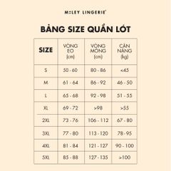 Combo 5 Quần Lót Nữ Miley Lingerie Vải Sợi Thiên Nhiên Cao Cấp Bamboo Miley Nature FBS0201