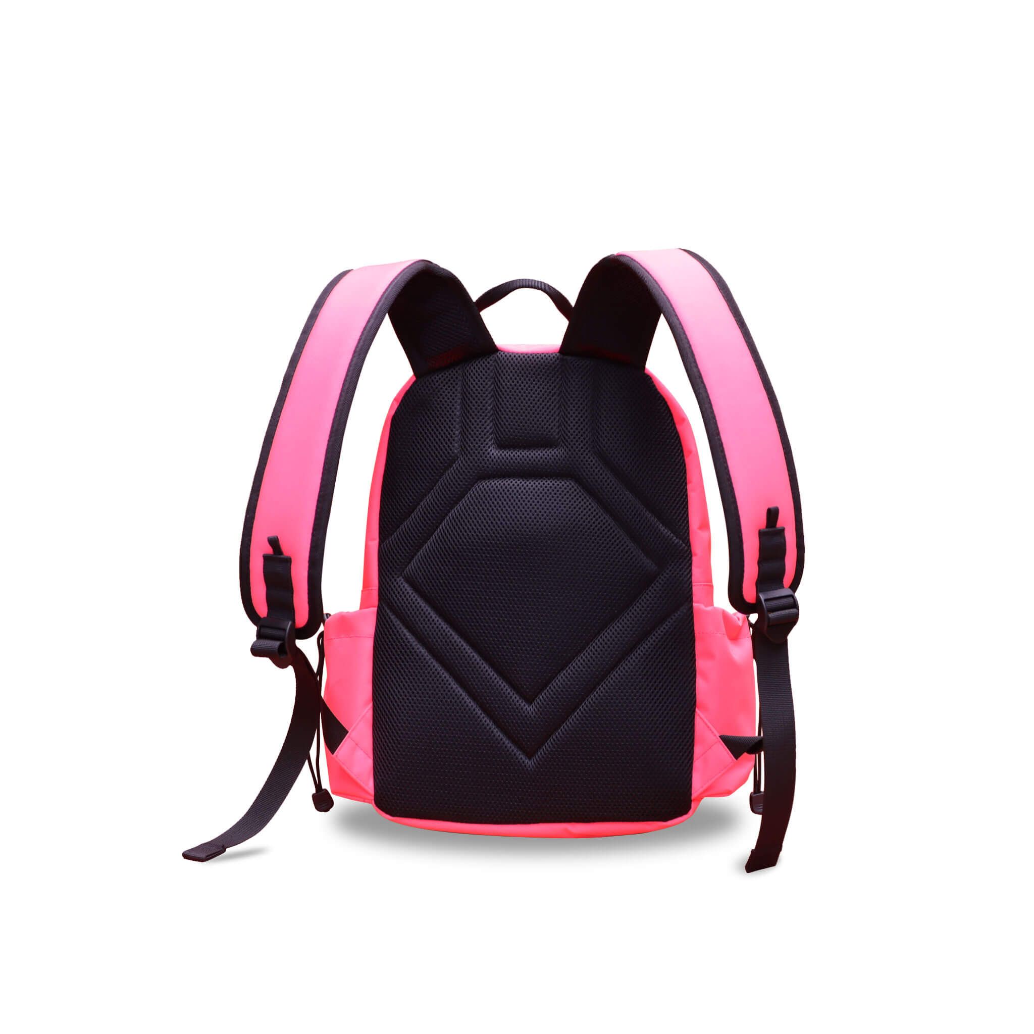 BASIC BACKPACK