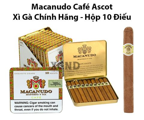 Cigar Macanudo Café Ascot - Xì Gà Chính Hãng - Hộp 10 Điếu