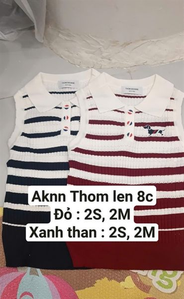 AKNN Thom len polo kẻ ngang