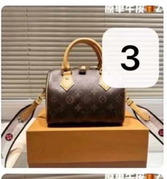 Túi xách LV trống - Sz 19