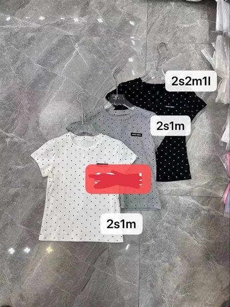 ANTN phông Miu chấm bi (