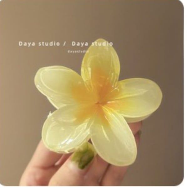 Kẹp tóc bông hoa (*)